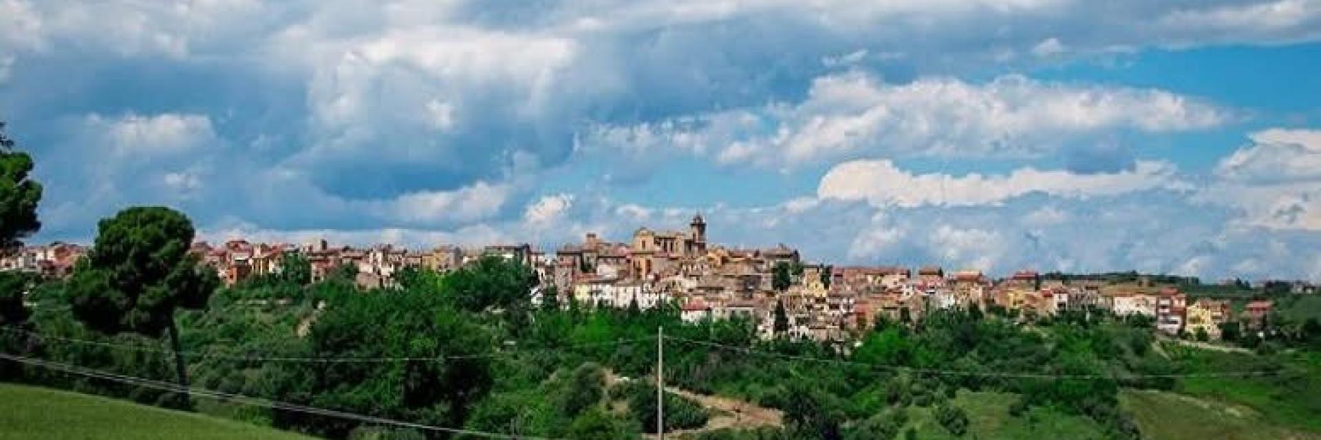 scerni